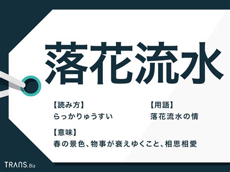 流水意味|「流水(ふーるにんた)」の意味や使い方 わかりやすく解説。